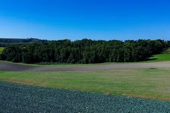 Waldgrundstück mit 10 ha Fläche in Scharten zu verkaufen!