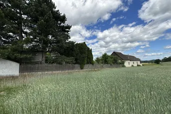 41.600 QM - Einzigartiges Anwesen mit Wohnhaus, Stallungen und großem Entwicklungspotenzial