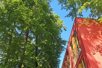 Wohnen am Buchenwald - moderne 57 qm Wohnung mit angenehmer Kühle im Sommer
