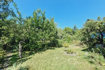 DB IMMOBILIEN | Gartenparadies mit Altbestand !!!
