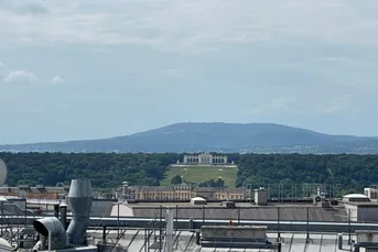 BAUJAHR 2025 - PREMIUM-Belagsfertig plus