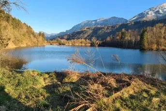 Sonniges, ebenes Grundstück mit Altbestand in ruhiger Lage nahe dem Linsendorfer See!