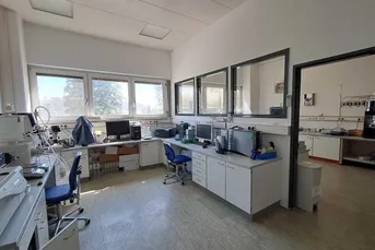 Lager-, Labor und Bürofläche zu Mieten 21. Bezirk 