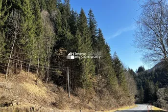 Waldgrundstück in der Marktgemeinde Hüttenberg