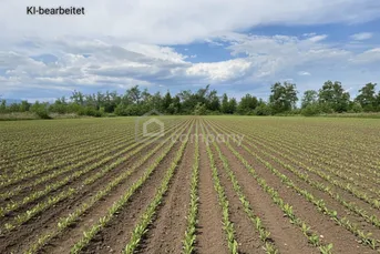 Großes 2.944m² Landwirtschafts-Grundstück in Sollenau zu mieten – Top Lage!