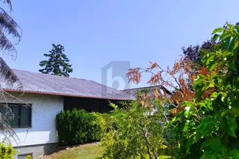 BUNGALOW IN VERKEHRSBERUHIGTER SIEDLUNG