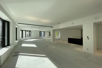 Saniertes Büro mit Loft-Charakter direkt auf der Mariahilfer Straße zu mieten