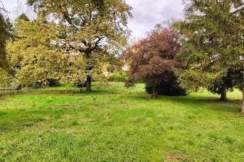 Traumhafte Fahnenparzelle am Fuße des Bisambergs