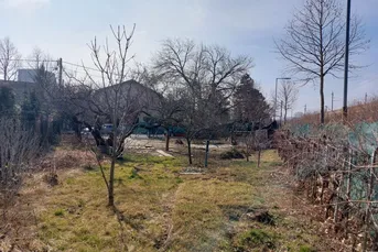 SELTENE RARITÄT - Gartengrundstück mit Obstbäumen und Weinreben (KEIN BAUGRUND) in Baden