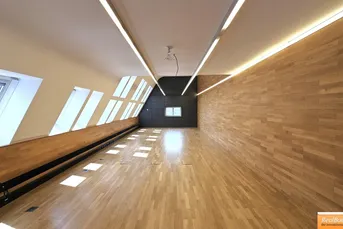 DACHGESCHOSS IN DER NUSSDORFER STRASSE
