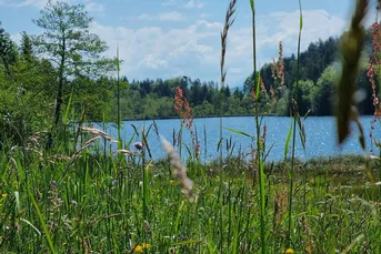 Saissersee: Bungalow in absoluter Seenähe