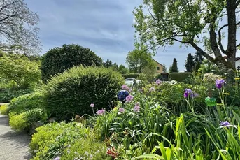 Charmanter Bungalow in zentraler Lage
