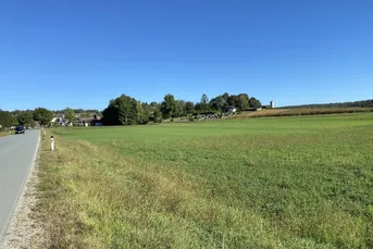 Großes Grundstück mit Bauland