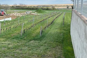 Exklusives Baugrundstück in Purbach: Traumlage mit Blick auf den Neusiedler See