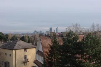 EXKLUSIVES PRESTIGE PENTHOUSE MIT KAMIN &amp; TERRASSE IM NOBLEN 19.BEZIRK