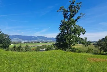 Exklusives Baugrundstück 1338m² am Gitzebühel in Koblach mit bester Sicht auf die Schweizer Bergwelt!
