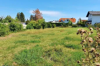 sonniger Baugrund für Einfamilienhaus