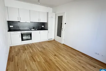 Moderne Innenstadtwohnung beim zentralen Stadtteil Gries