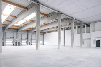 Kombination Lagerhalle 300 m2 + Büro 220 m2 südlich von Wien, in Wr. Neudorf