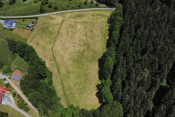 NEUER PREIS!! Landwirtschaftliches Weideland zu verkaufen!