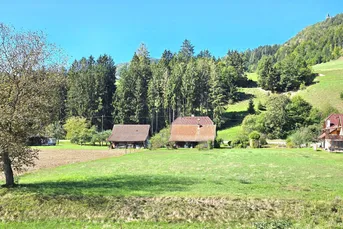 Landwirtschaftliche Fläche mit EFH und Nebengebäude, geeignet für Pferde/Schafe mit 3.912m² Grundstück zu verkaufen!