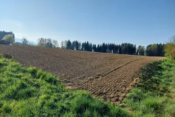 9431 Stefan/Völking Wunderschöner Baugrund
