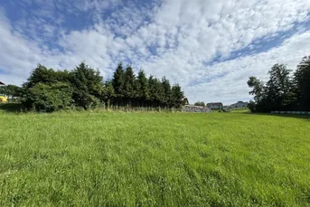 St. Oswald b. Plankenwarth! Herrliches Grundstück in ruhiger Sonnenlage!