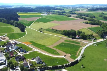 Grundstück mit Weitblick - Naturidylle am Gamperner Berg
