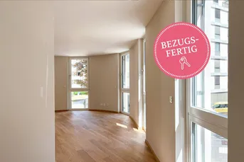 BAUMKRONENBLICK AUS 3 VON 5 FENSTERN