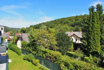 LEBEN GANZ IM FLUSS : Wohnen am WIENERWALD