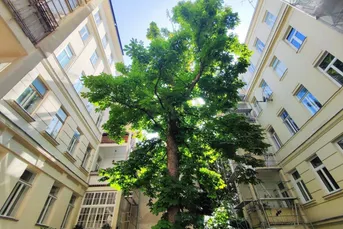 BLICK INS GRÜNE - Sanierungsbedürftiger Altbau in Hofruhelege!