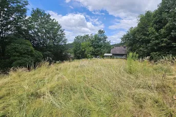 1.380 m² Sonnengrund in Kreuth/Pischeldorf/Poggersdorf!