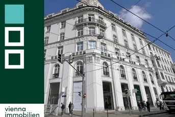 Modernes Loft-Geschäftslokal vis-a-vis Unteres Belvedere