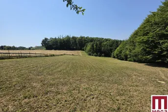 Sonniges Baugrundstück in naturnaher Lage – Ihr Platz für das Eigenheim