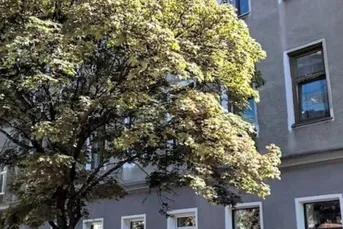 1160 Wien, NUR 800m zur U6-Station Thaliastrasse!