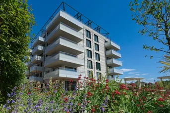 Wohnprojekt "Am schönen Platz" - Pärchenwohnung mit perfektem Grundriss