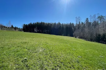 Bauträger aufgepasst: Sonniges Grundstück in idyllischer Ruhelage