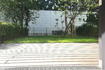 Gartenwohnung: Kirsch- und Feigenernte in diesem Sommer nähe Alte Donau