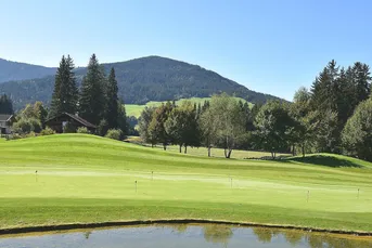 Idyllisches Freilandjuwel mit Baubewilligung und Freizeitwidmung