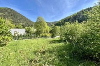 Kleines Paradies: 1.586m² großes Baugrundstück in 2371 Hinterbrühl