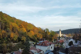 Luxuriöses Grundstück für 4 baugenehmigte Doppelhauseinheiten in außergewöhnlicher Lage am Rande des Lainzer Tiergartens!