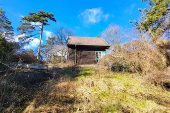 Unglaubliches Erholungsrefugium I Einzigartiges Jagdhäuschen auf Eigengrund nächst Lainzer Tiergarten!