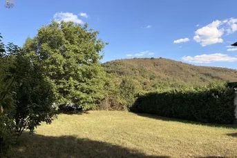Ein Gedanke ist der Anfang, ein Traum der Weg – und ein Zuhause das, was daraus wächst.