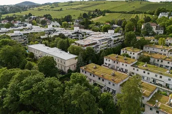 Traumlage in Nussdorf - Generalsaniert mit großer Terrasse und Grünblick