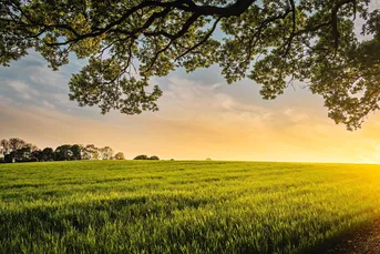 30.000 m² Bauerwartungsland in Top-Lage Treibach-Althofen – großes Investmentpotenzial!