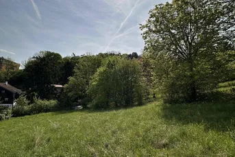 Traumhafter 2.000m² Villen Baugrund in Bestlage am Buchberg - Klosterneuburg