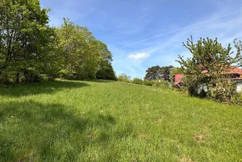 VILLEN-BAUGRUND - 2.000m² in Bestlage am Buchberg mit Studie - Klosterneuburg