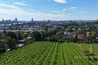 Baugenehmigtes Grundstück am Döblinger Nussberg