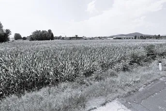 Klagenfurt Betriebsgrundstück