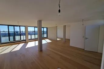 2-Zimmer Dachgeschoss Loft-Studio mit 71.59 m2-nah zur U2 Donauspital-Erstbezug nach Sanierung - Süd-Terrasse mit Fernblick